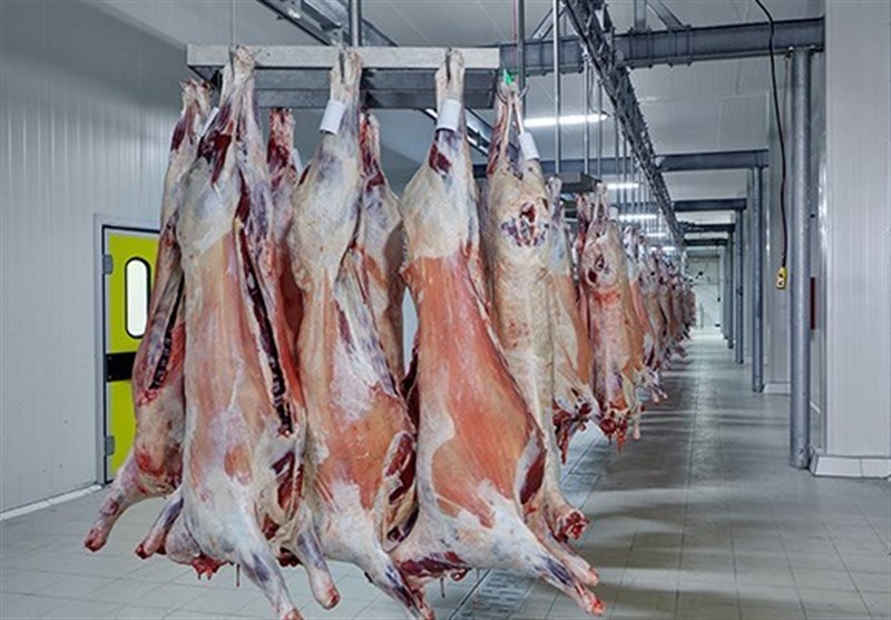 خودکفایی استان بوشهر در تولید گوشت قرمز