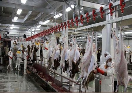 نخستین کشتارگاه صنعتی دام بوشهر افتتاح می‌شود