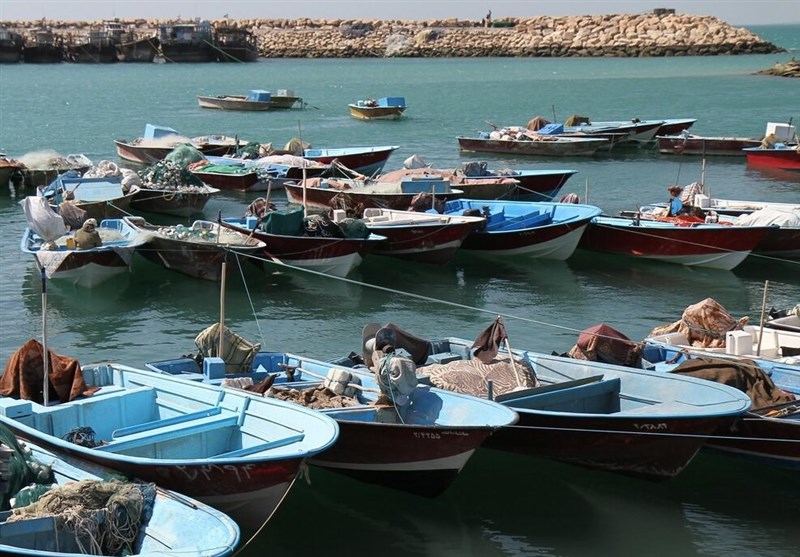 فعالیت هزاران قایق‌ فاقد هویت در بوشهر
