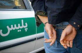دستگیری عامل قتل شهروند چغادکی در بوشهر